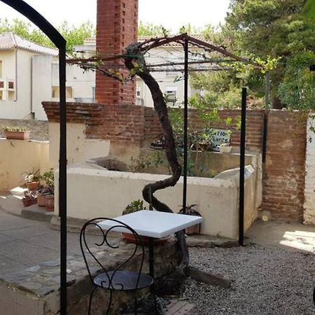 Appartement 300 M Plage Et Port Баньюль-сюр-Мер Экстерьер фото